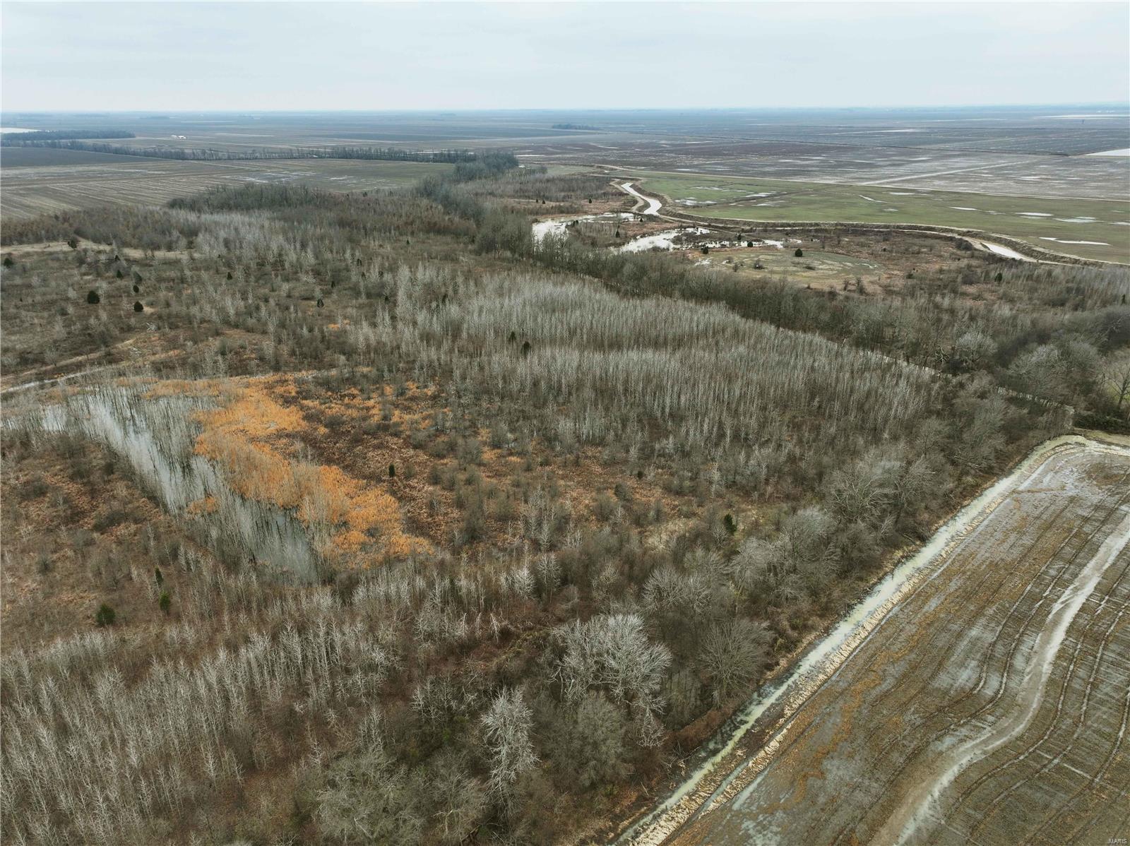 0 County Line Road 832 Sikeston, MO 63801 - Photo 12 of 54