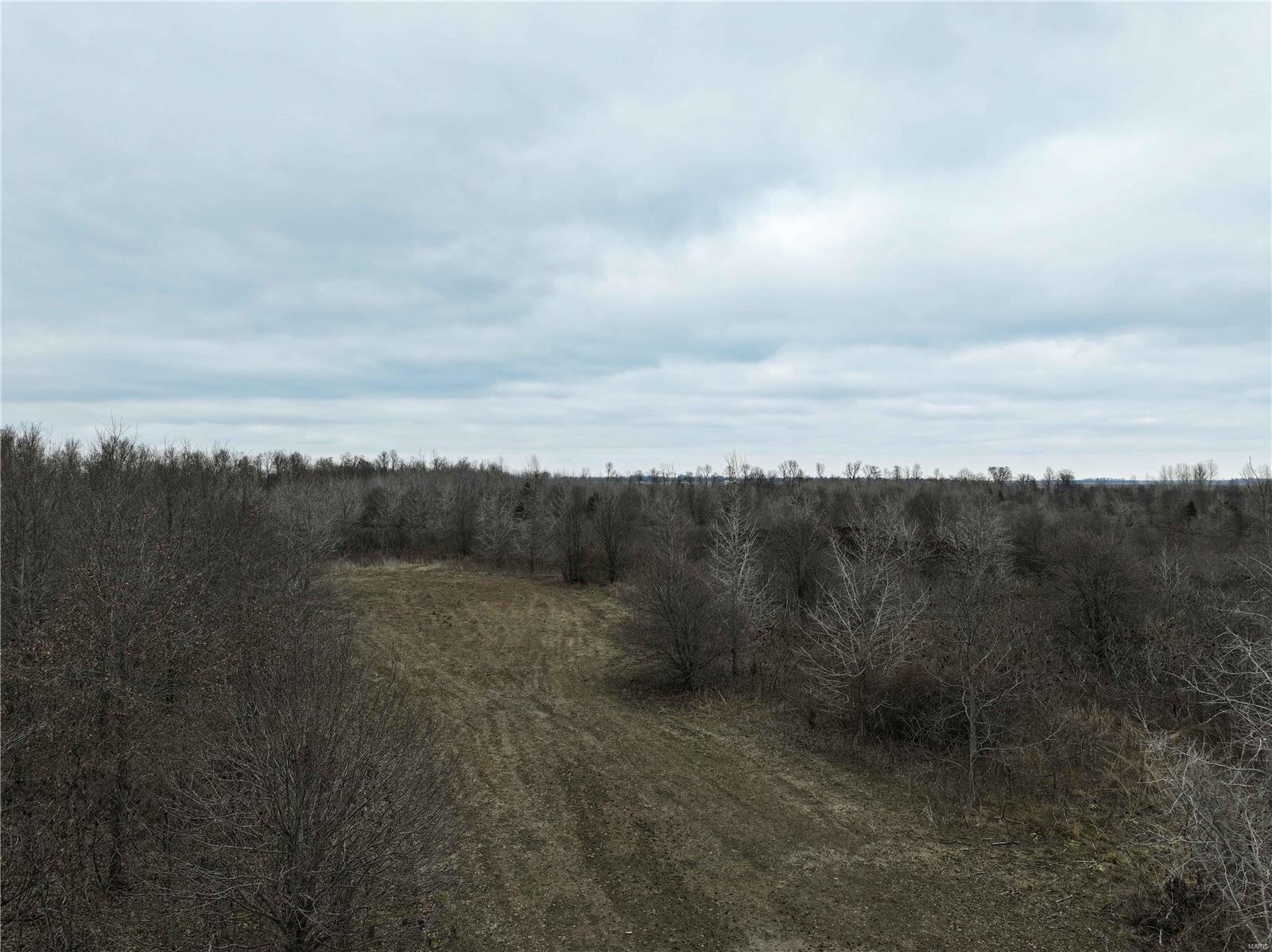 0 County Line Road 832 Sikeston, MO 63801 - Photo 13 of 54