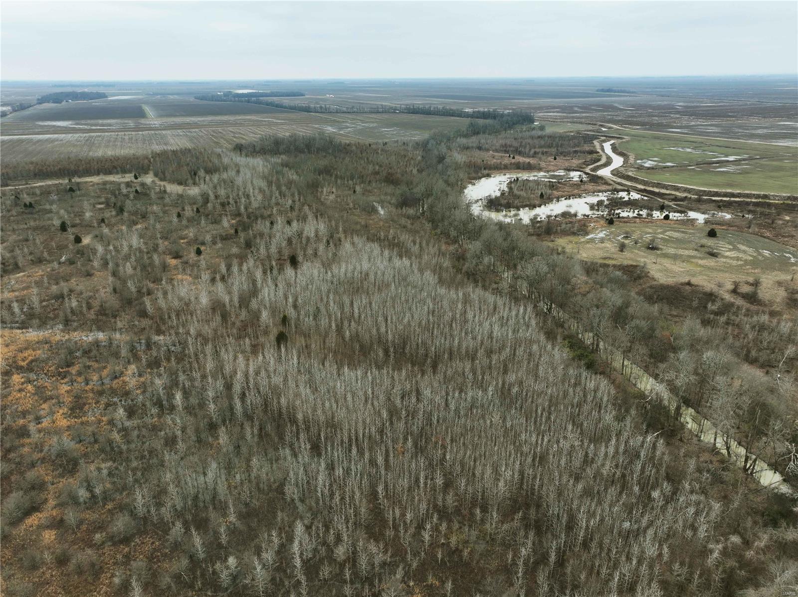 0 County Line Road 832 Sikeston, MO 63801 - Photo 14 of 54