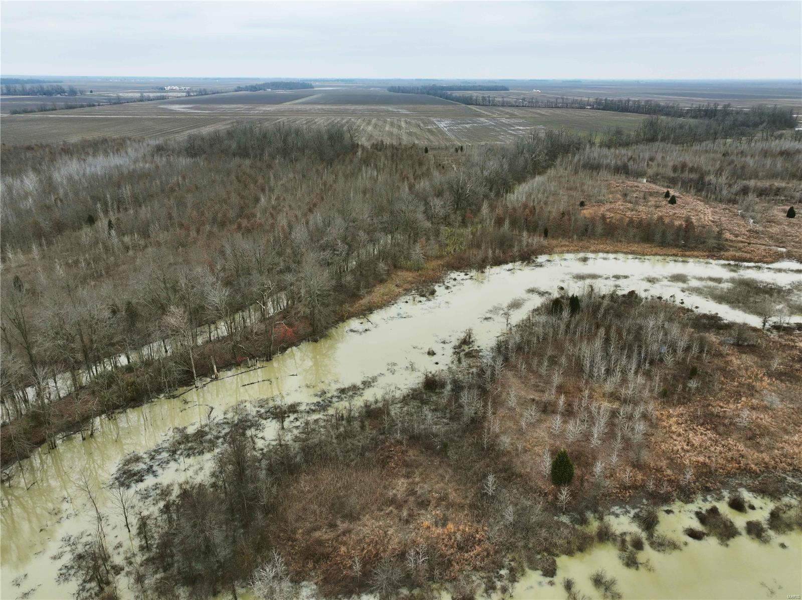 0 County Line Road 832 Sikeston, MO 63801 - Photo 18 of 54