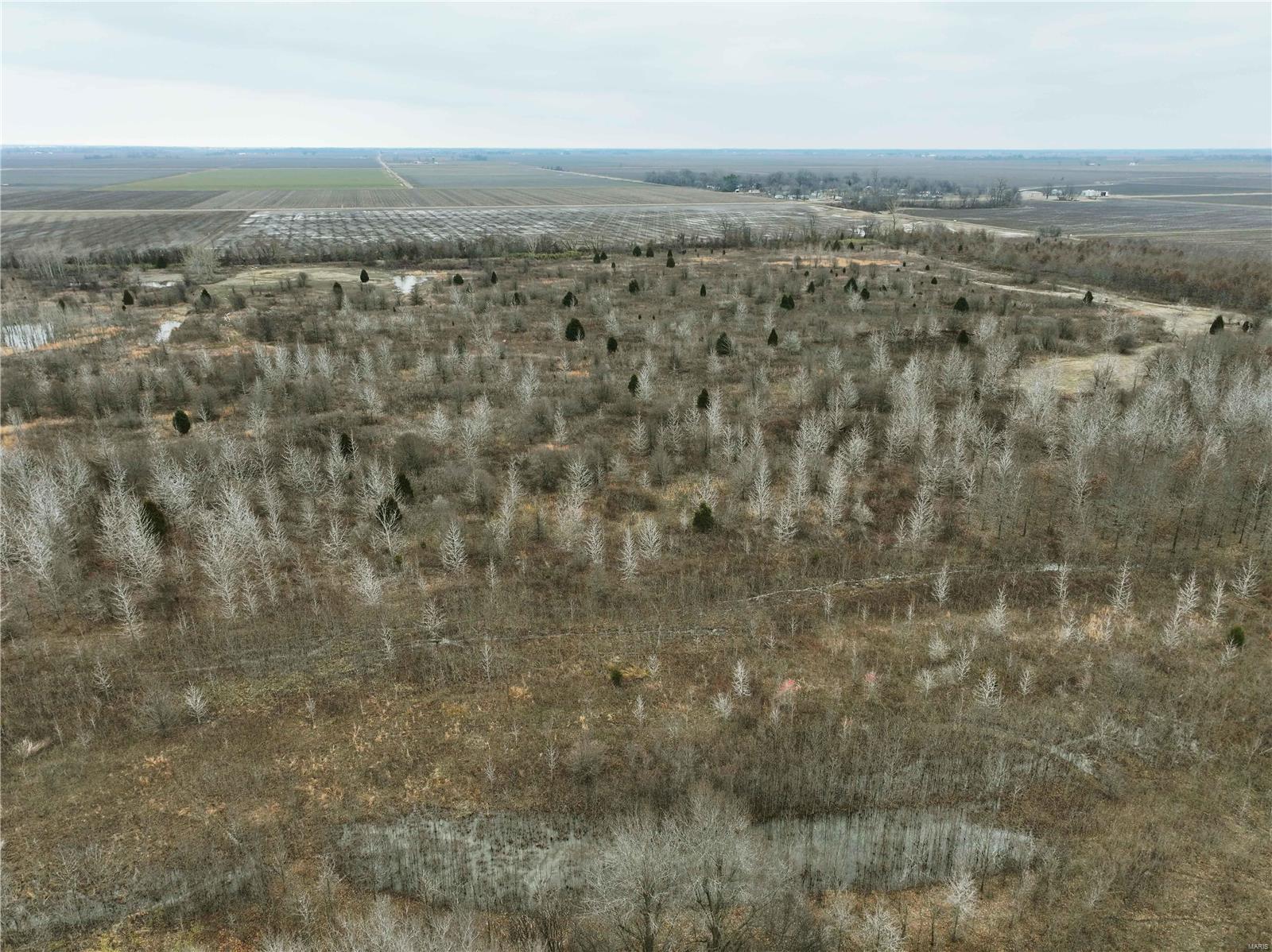 0 County Line Road 832 Sikeston, MO 63801 - Photo 21 of 54