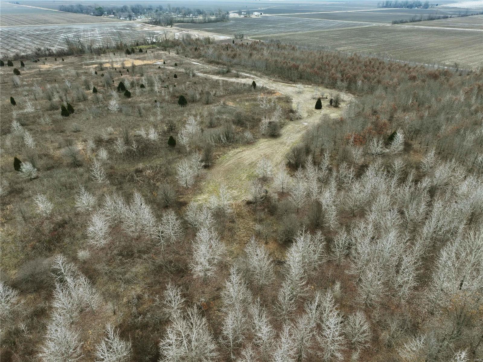 0 County Line Road 832 Sikeston, MO 63801 - Photo 22 of 54