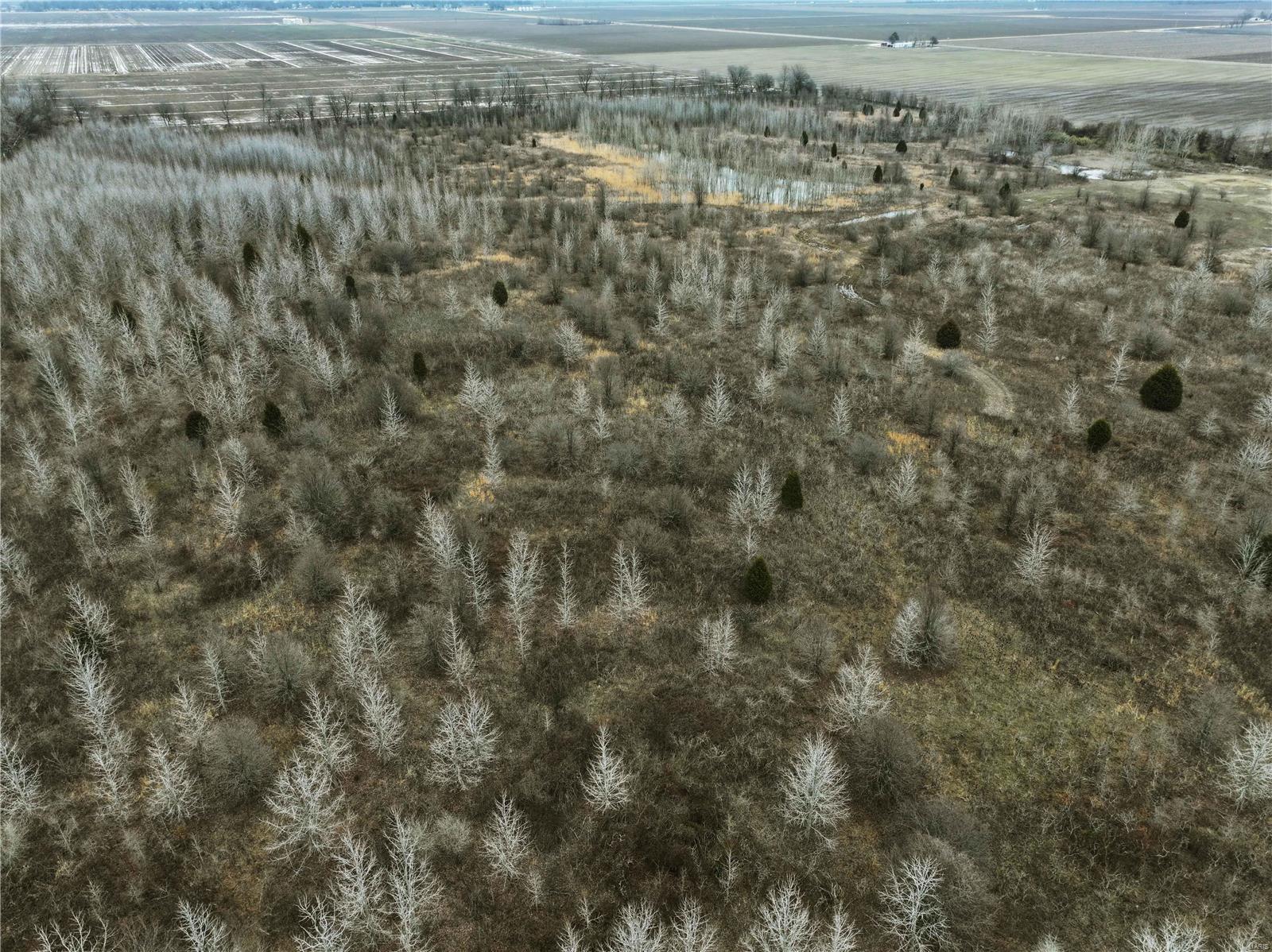 0 County Line Road 832 Sikeston, MO 63801 - Photo 24 of 54