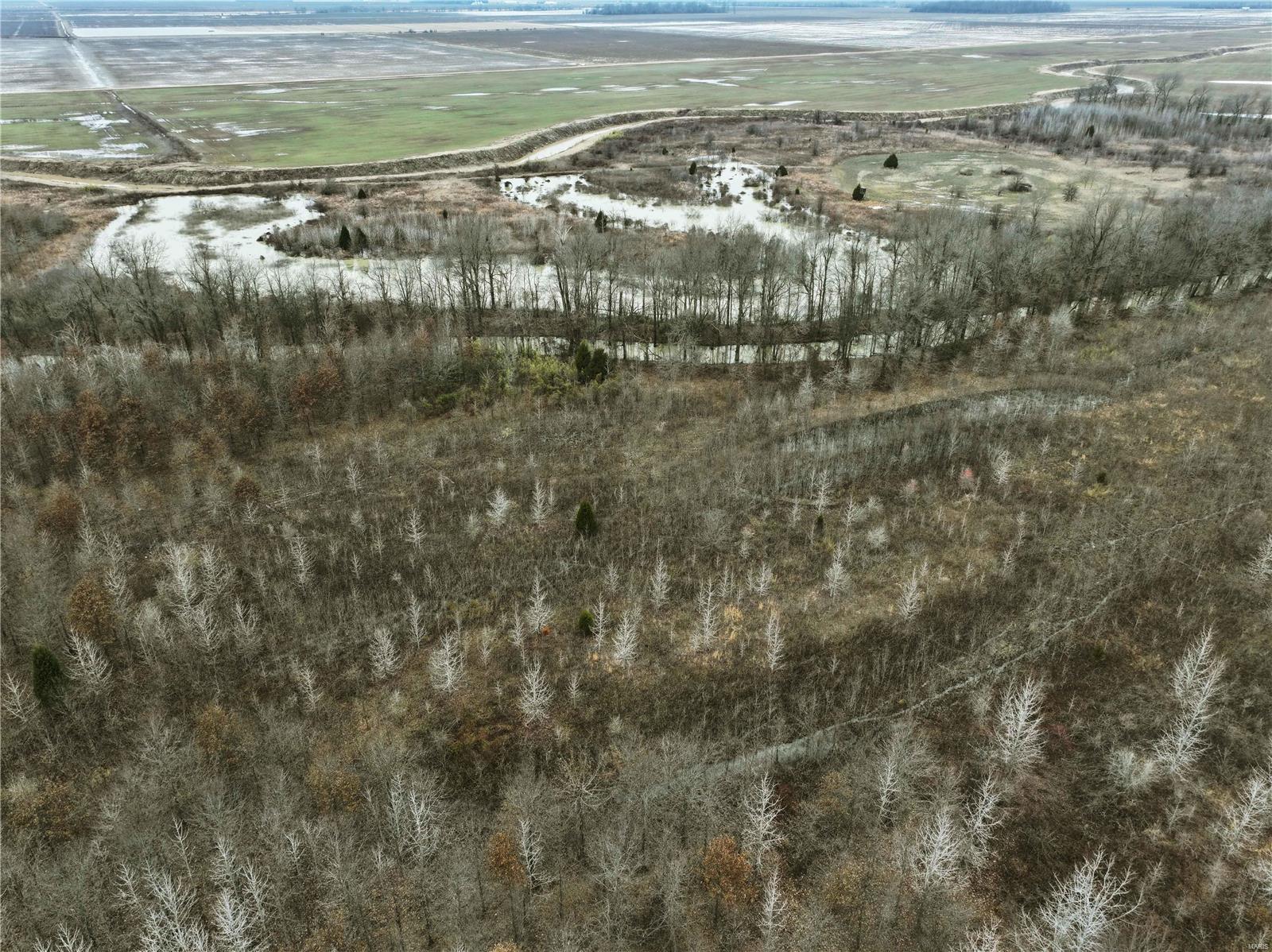 0 County Line Road 832 Sikeston, MO 63801 - Photo 25 of 54