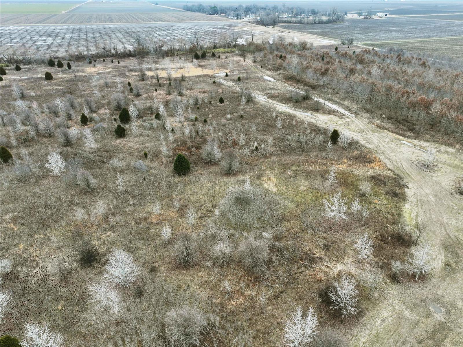 0 County Line Road 832 Sikeston, MO 63801 - Photo 26 of 54