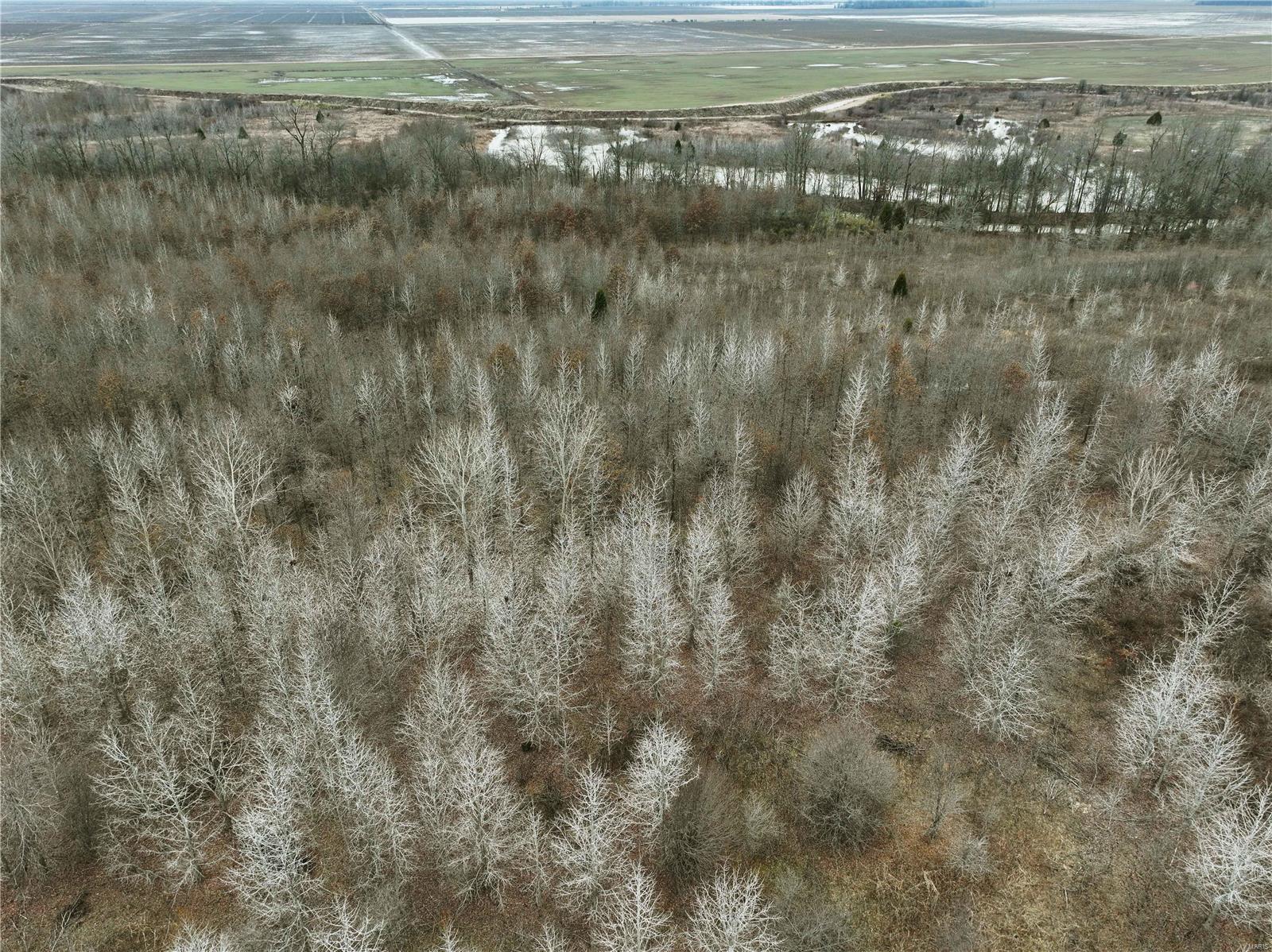 0 County Line Road 832 Sikeston, MO 63801 - Photo 27 of 54