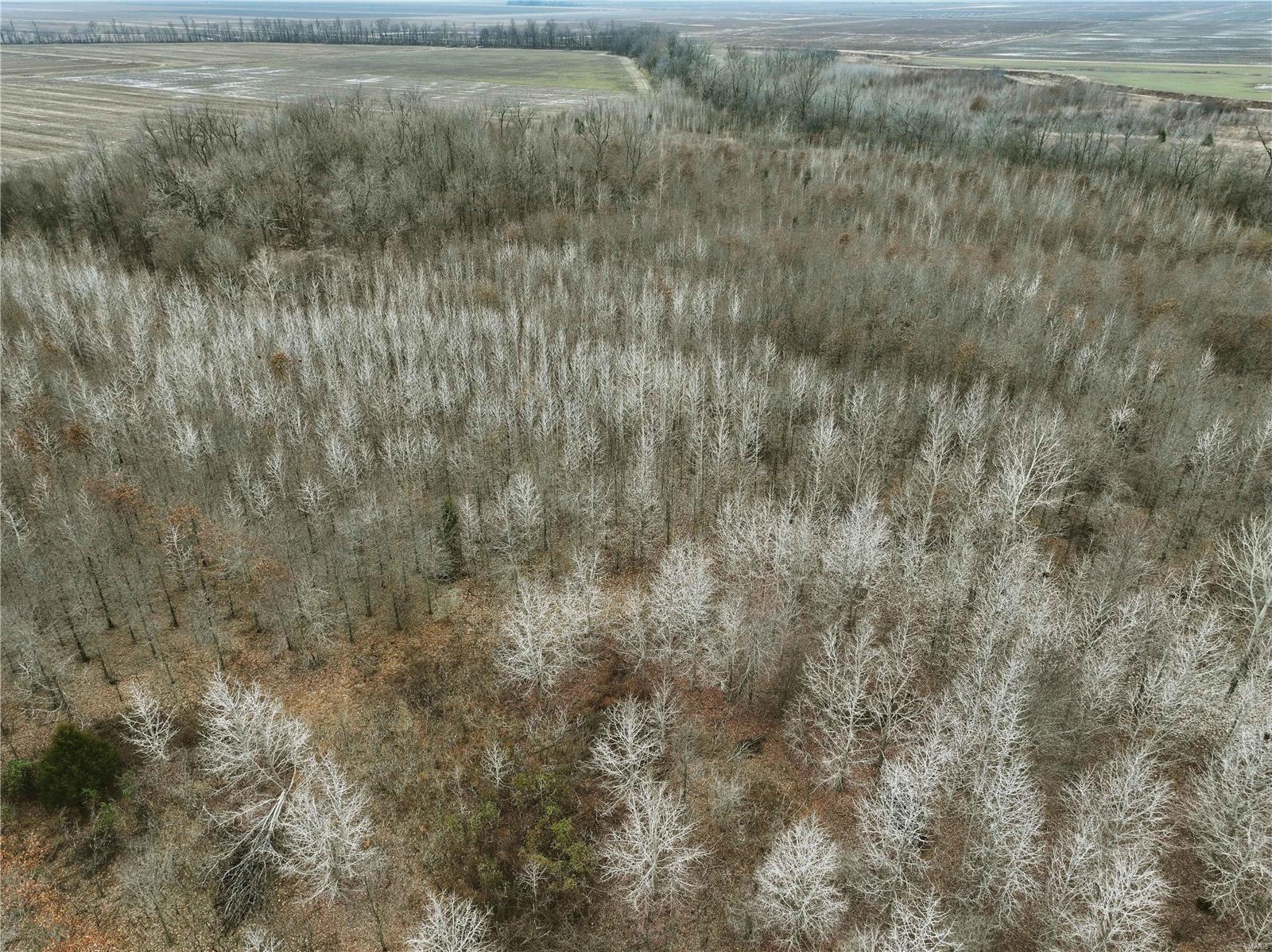 0 County Line Road 832 Sikeston, MO 63801 - Photo 28 of 54