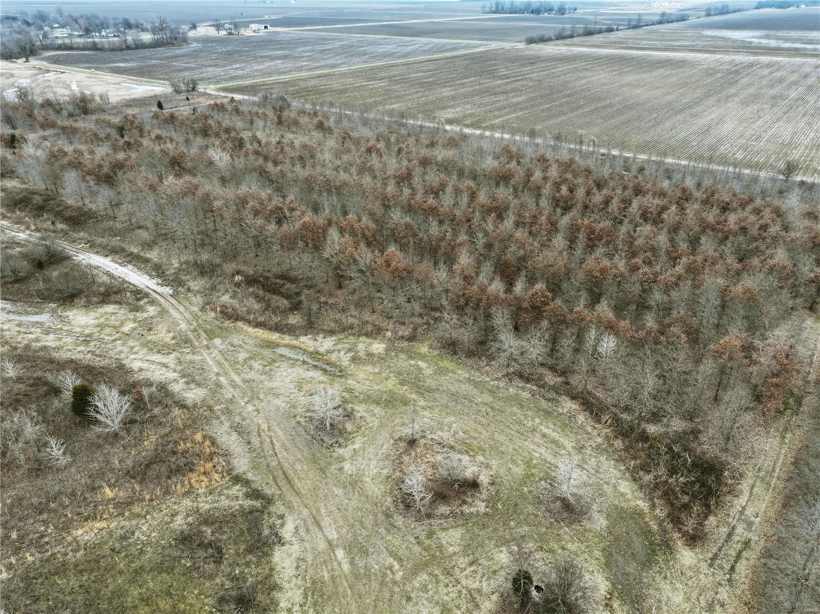 0 County Line Road 832 Sikeston, MO 63801 - Photo 29 of 54