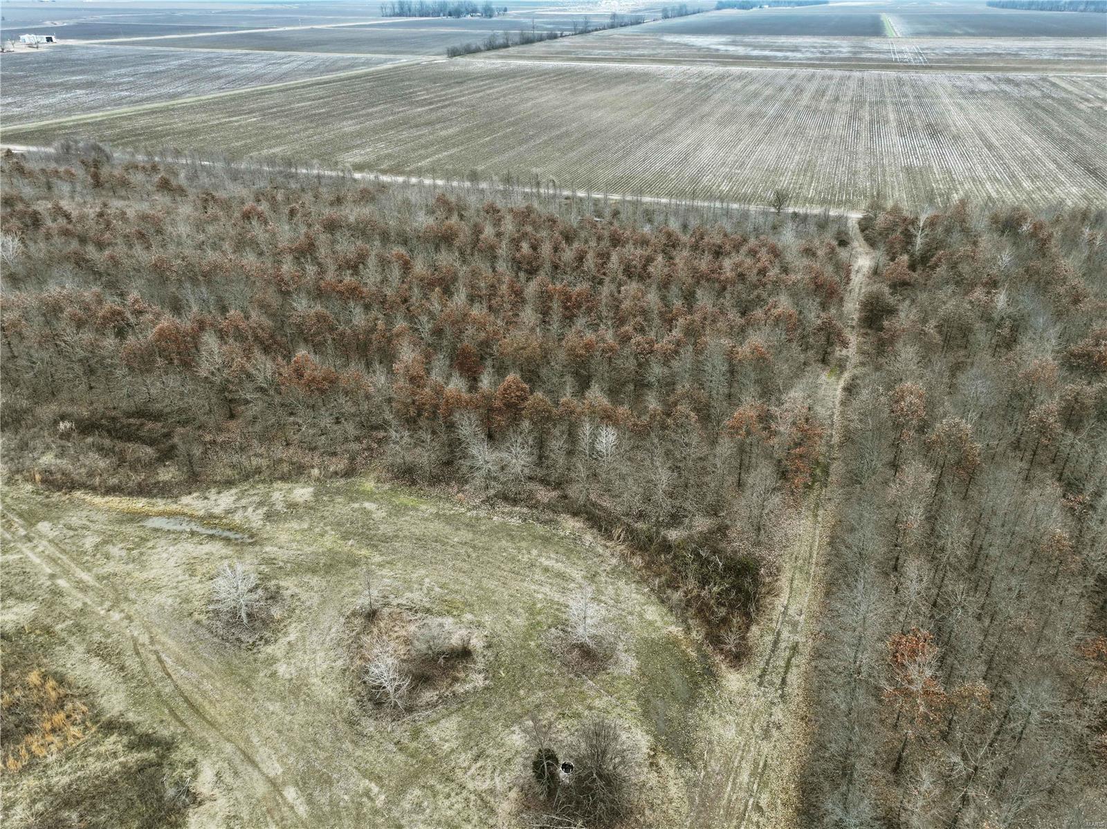 0 County Line Road 832 Sikeston, MO 63801 - Photo 30 of 54