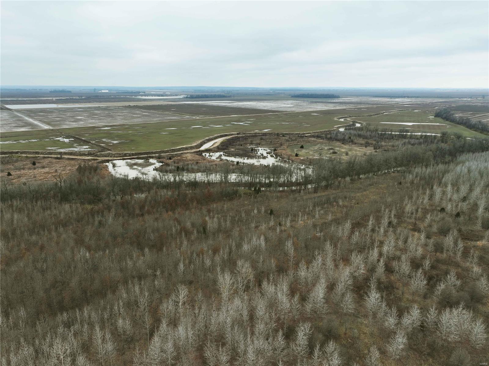 0 County Line Road 832 Sikeston, MO 63801 - Photo 3 of 54