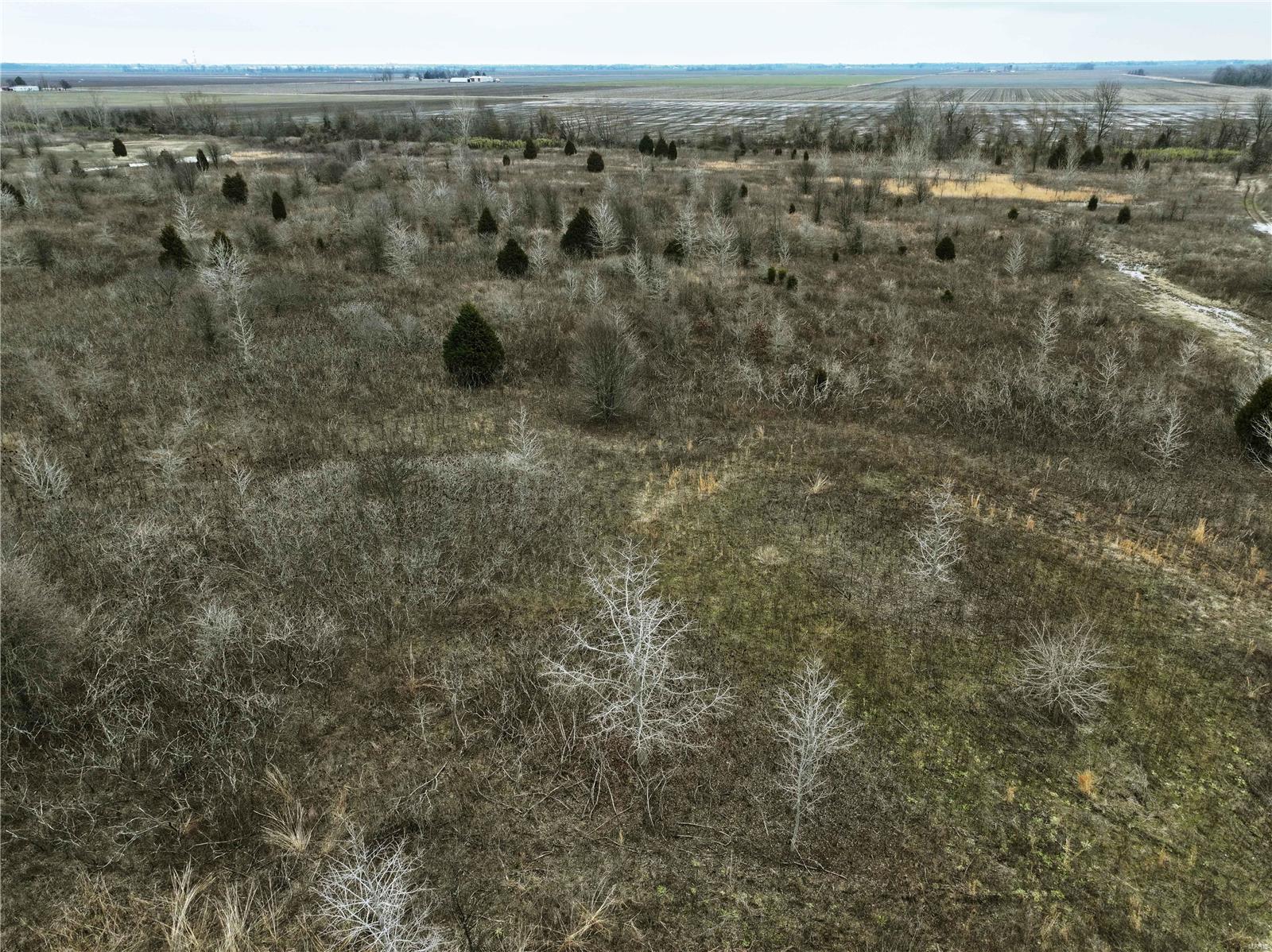 0 County Line Road 832 Sikeston, MO 63801 - Photo 32 of 54