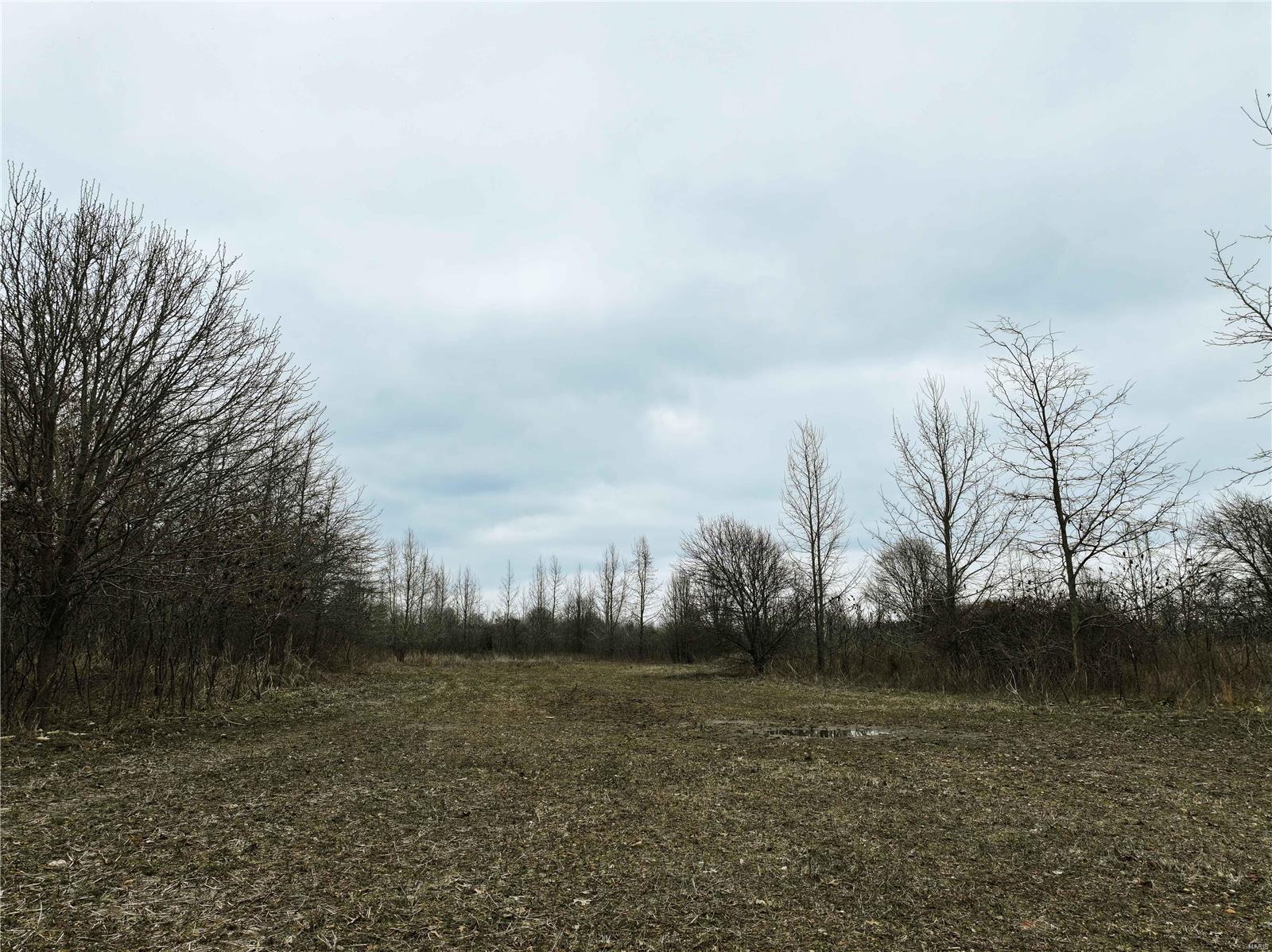 0 County Line Road 832 Sikeston, MO 63801 - Photo 33 of 54