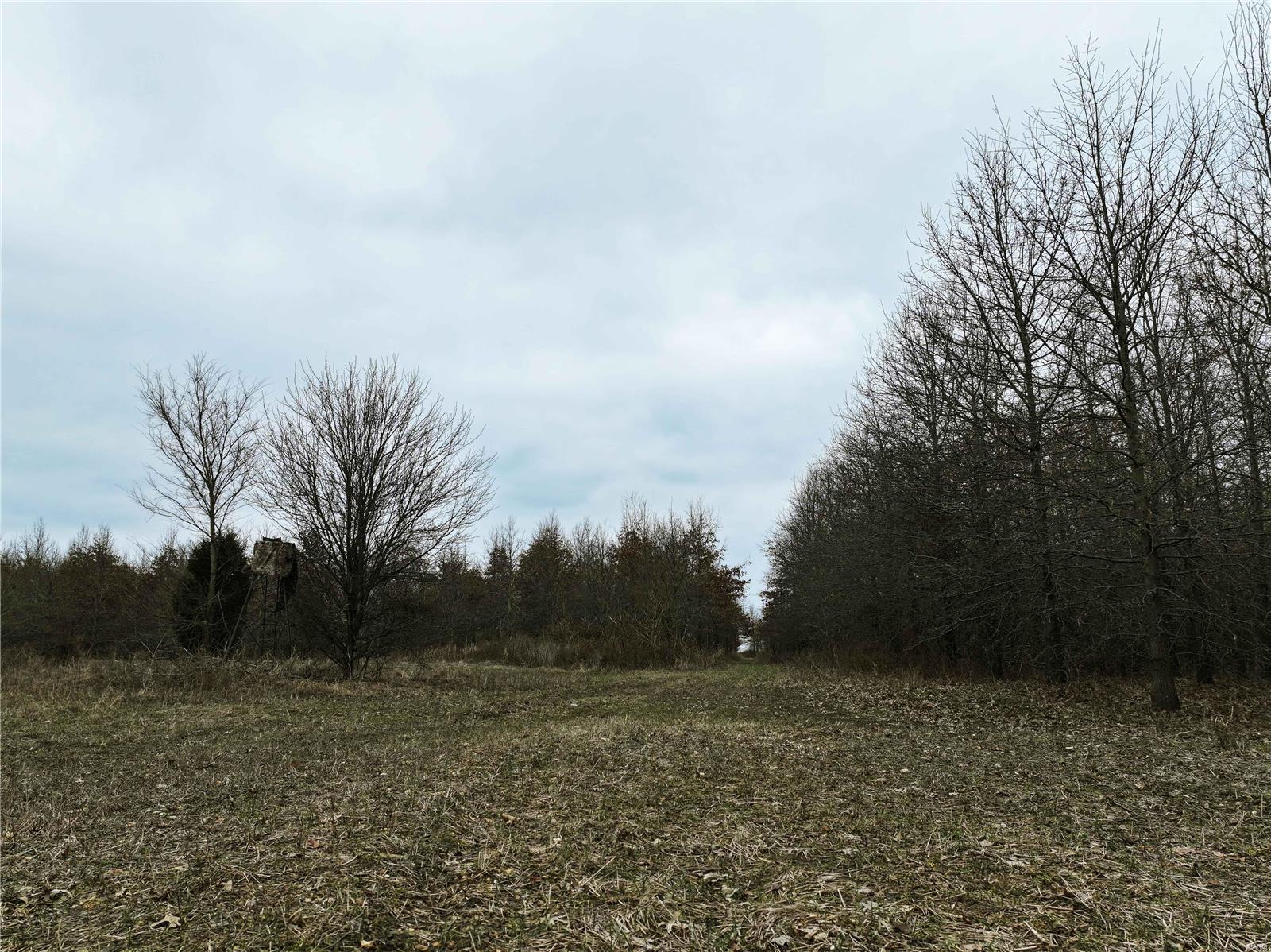 0 County Line Road 832 Sikeston, MO 63801 - Photo 34 of 54