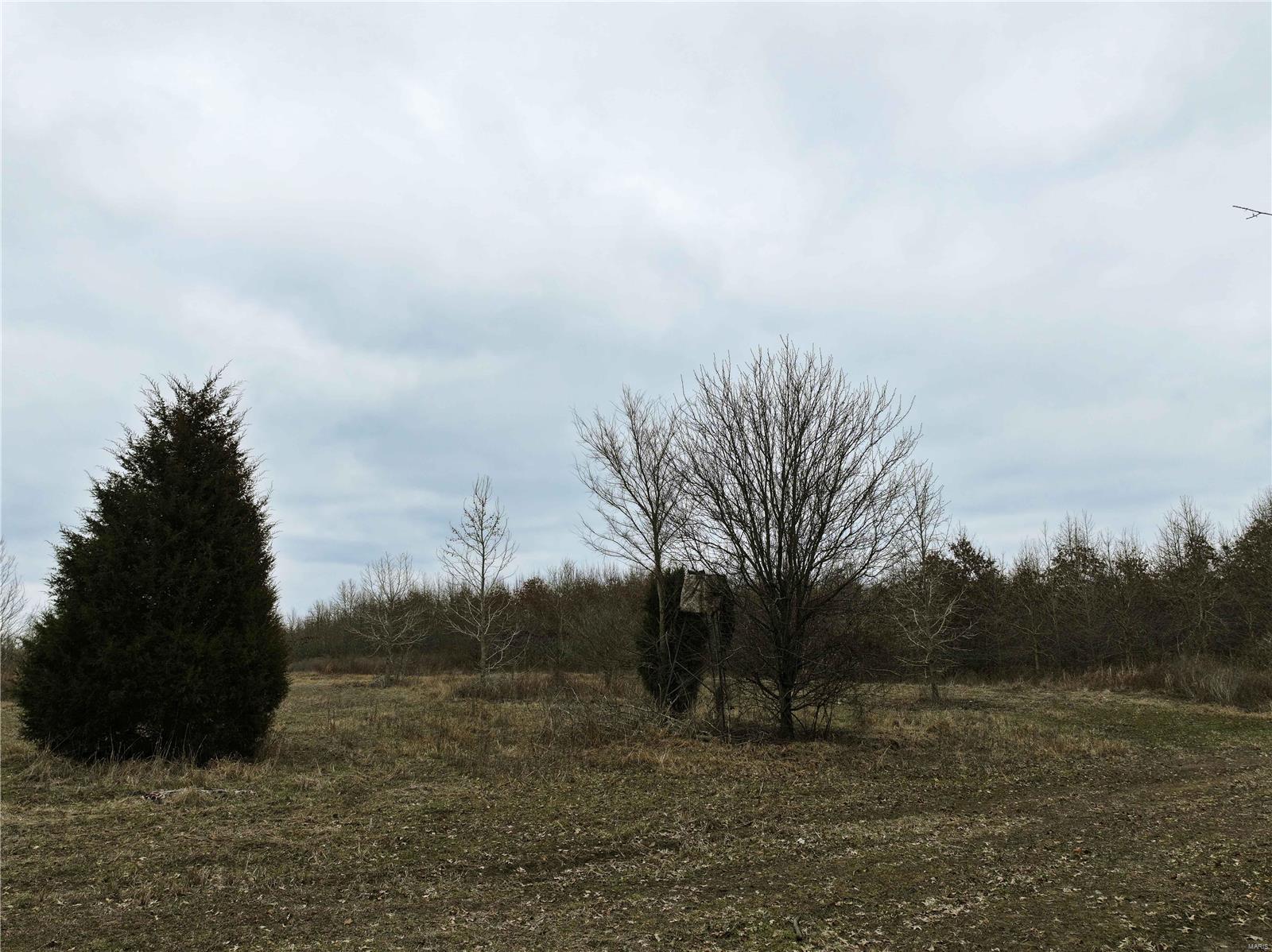 0 County Line Road 832 Sikeston, MO 63801 - Photo 35 of 54