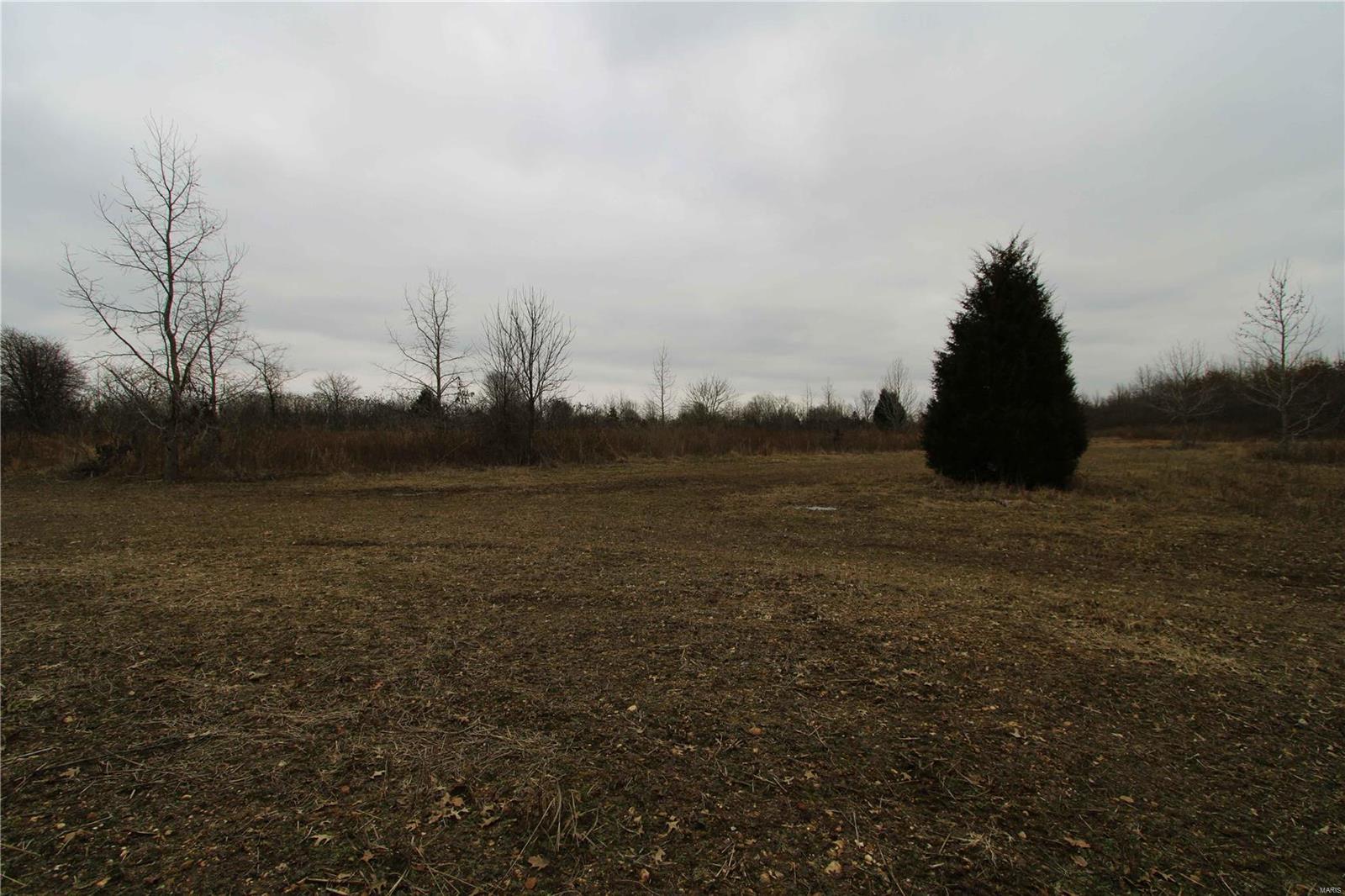 0 County Line Road 832 Sikeston, MO 63801 - Photo 37 of 54