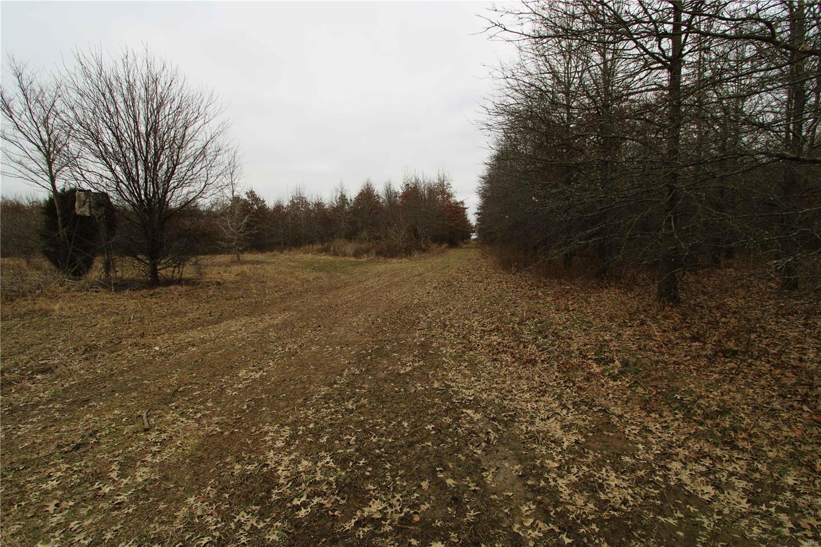 0 County Line Road 832 Sikeston, MO 63801 - Photo 38 of 54