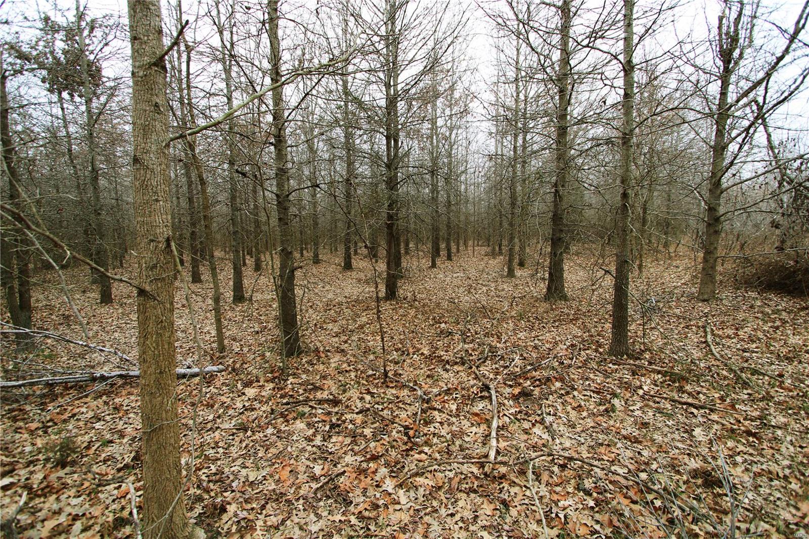 0 County Line Road 832 Sikeston, MO 63801 - Photo 39 of 54