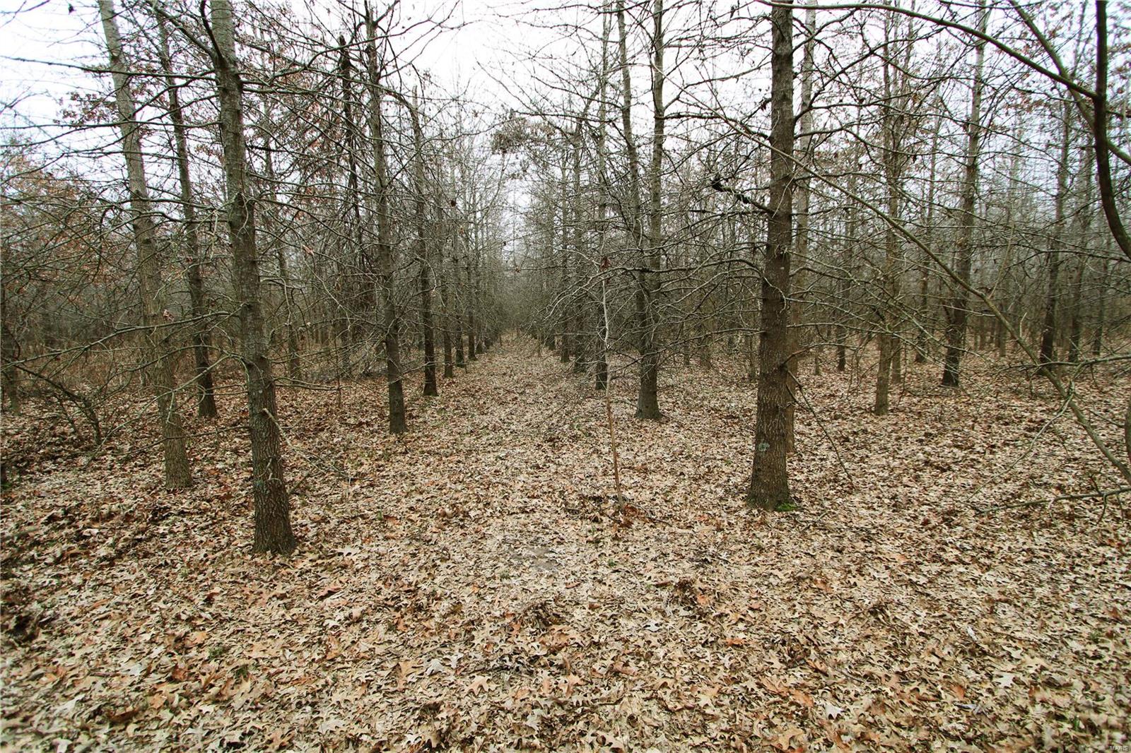 0 County Line Road 832 Sikeston, MO 63801 - Photo 40 of 54