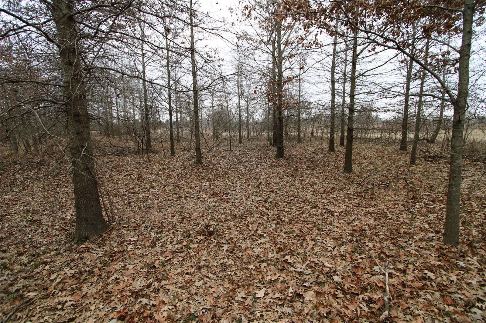 0 County Line Road 832 Sikeston, MO 63801 - Photo 41 of 54