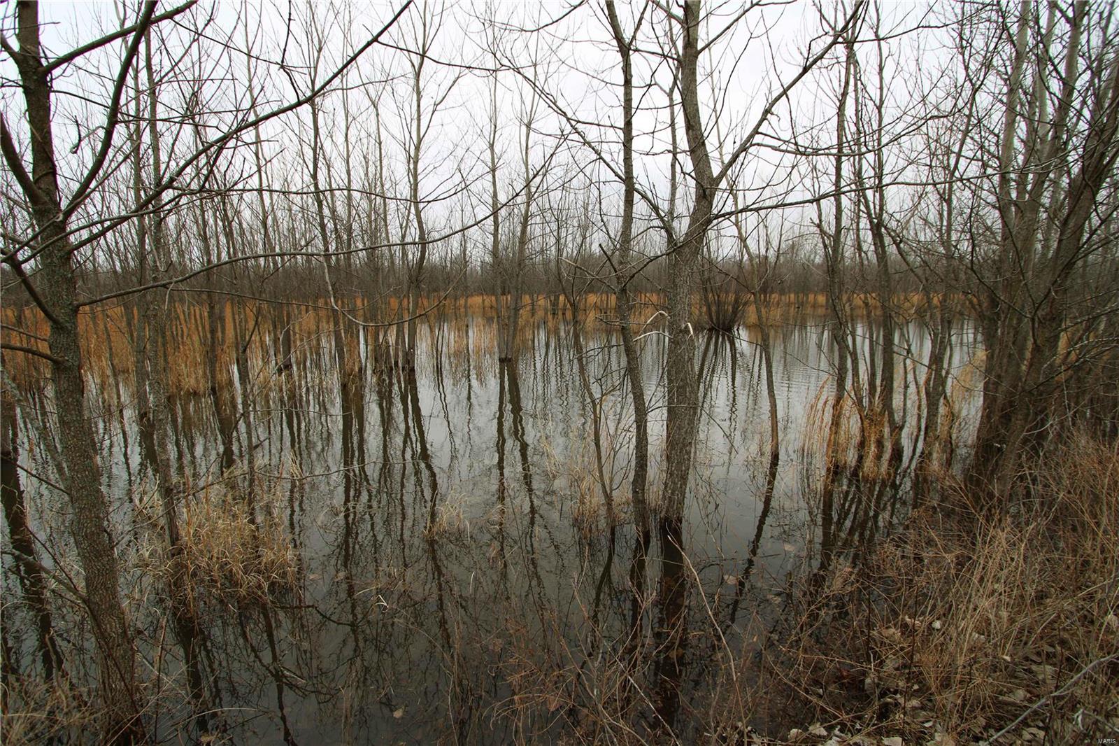 0 County Line Road 832 Sikeston, MO 63801 - Photo 43 of 54