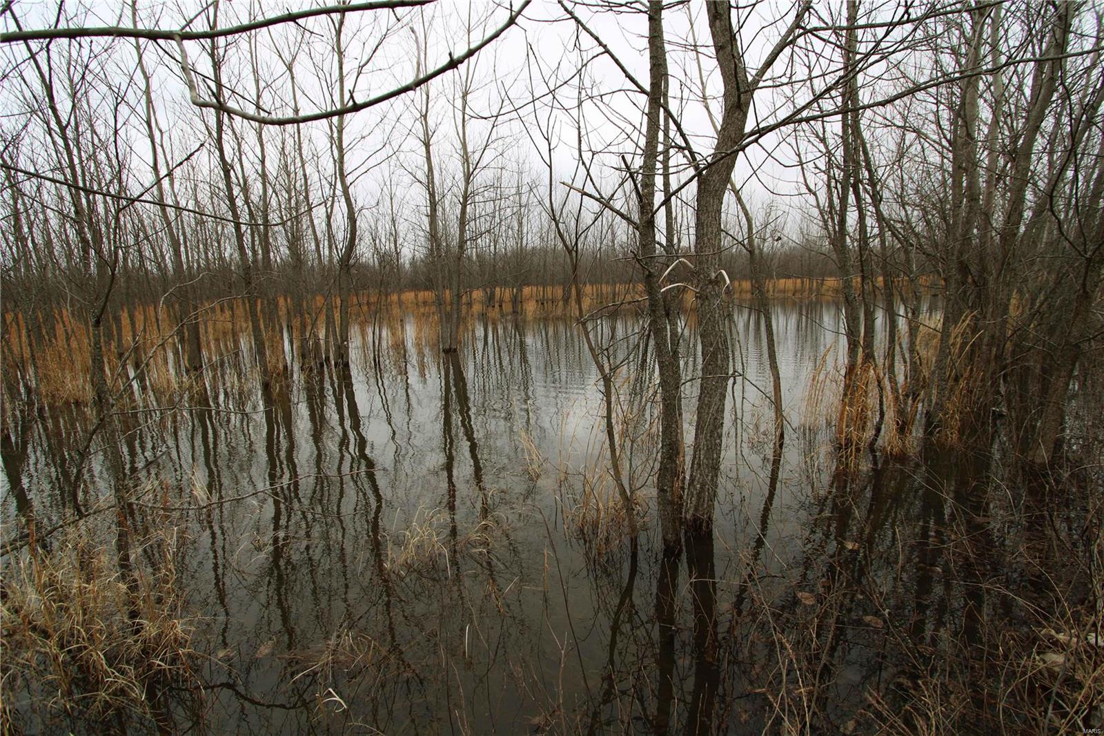 0 County Line Road 832 Sikeston, MO 63801 - Photo 44 of 54