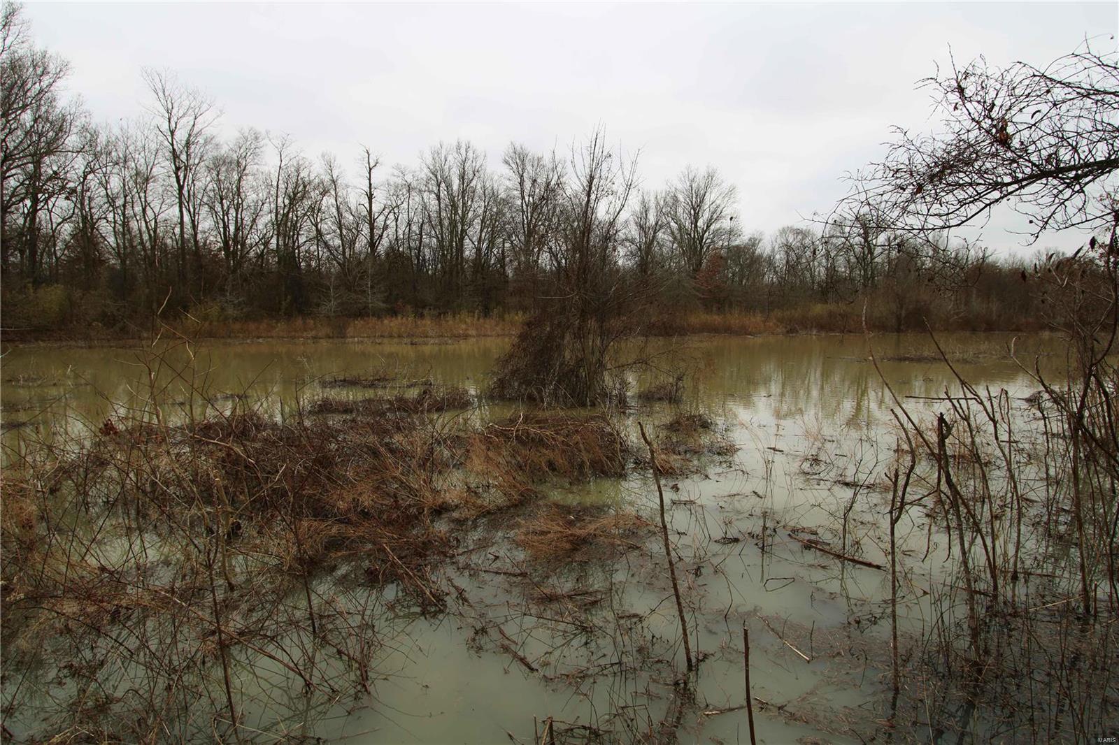 0 County Line Road 832 Sikeston, MO 63801 - Photo 45 of 54