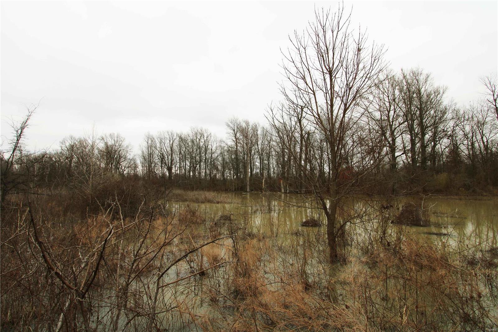 0 County Line Road 832 Sikeston, MO 63801 - Photo 46 of 54