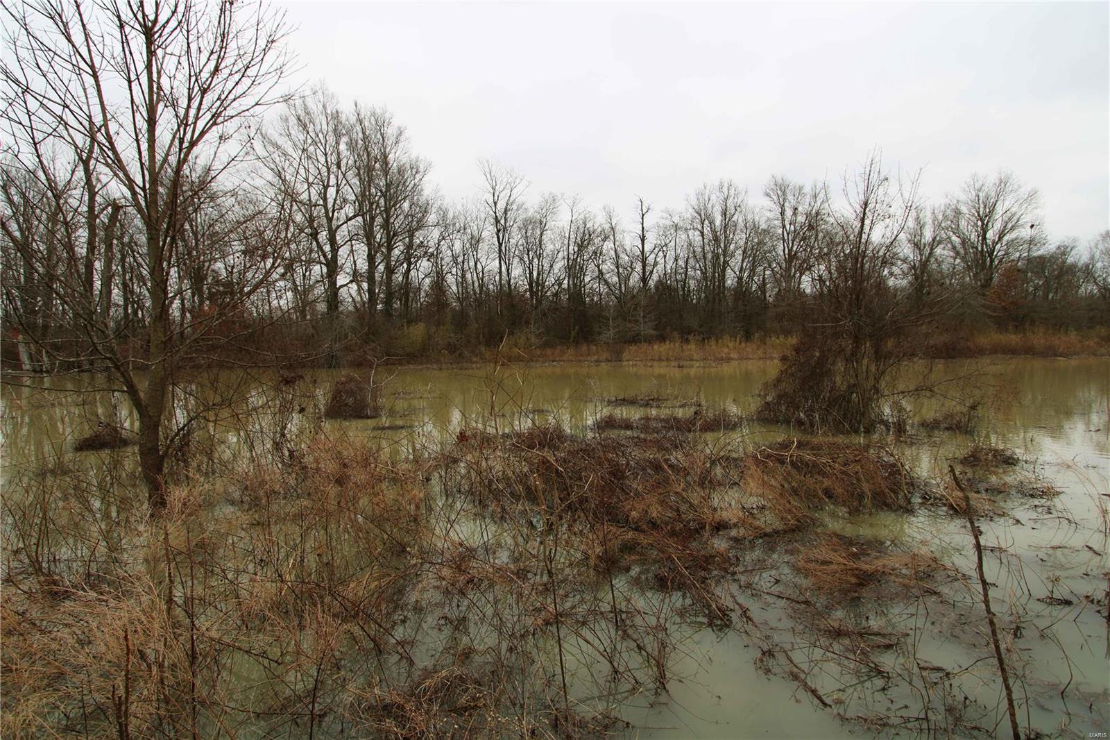 0 County Line Road 832 Sikeston, MO 63801 - Photo 47 of 54