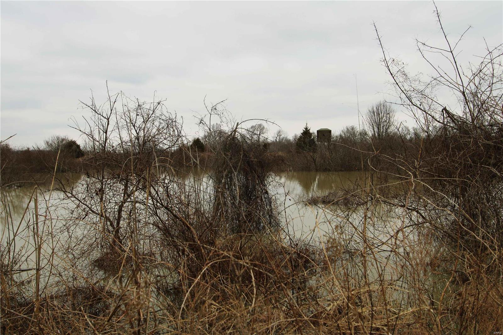 0 County Line Road 832 Sikeston, MO 63801 - Photo 48 of 54