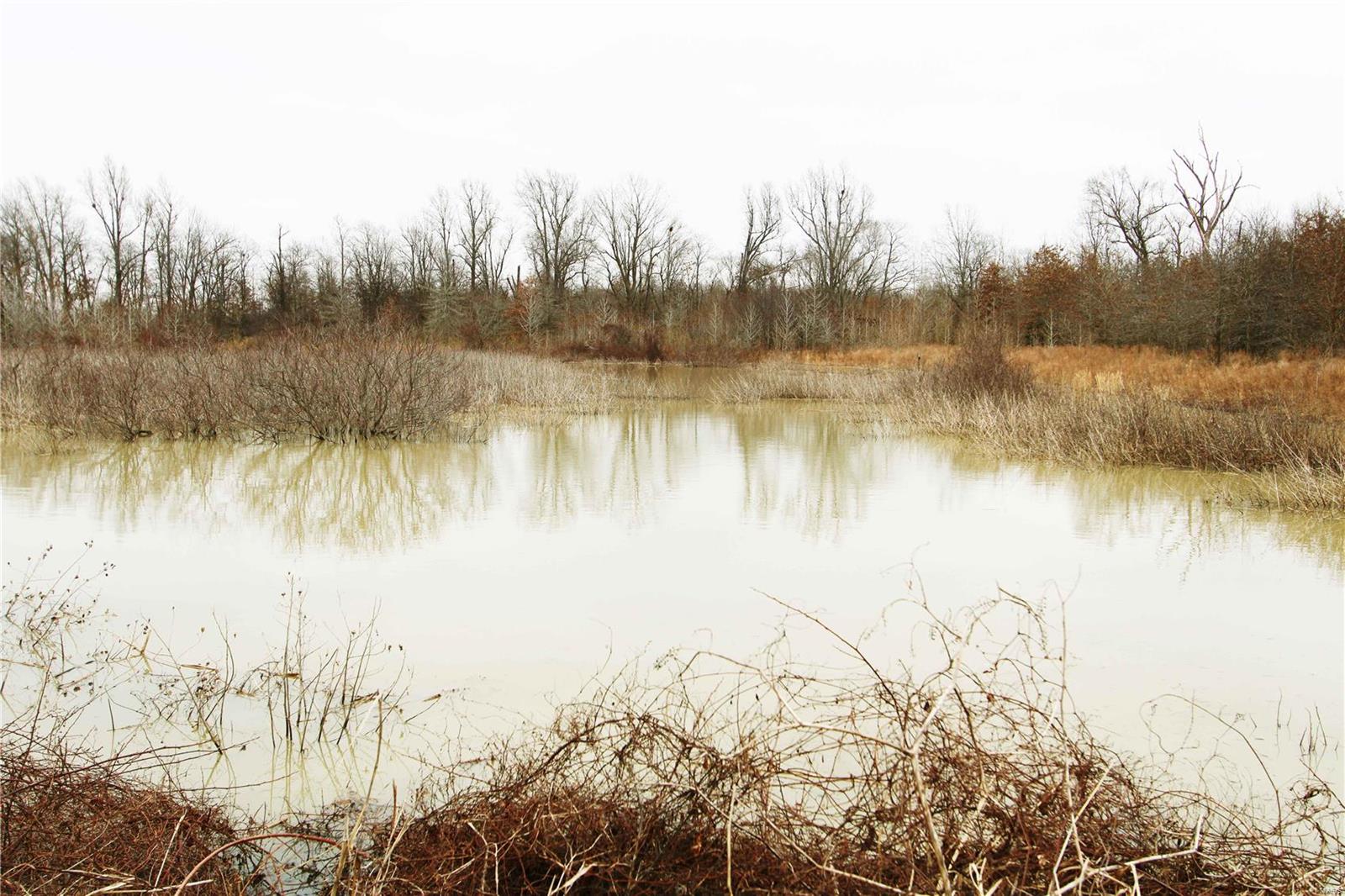 0 County Line Road 832 Sikeston, MO 63801 - Photo 49 of 54