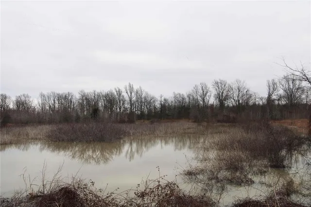 $499,000 | 0 County Line Road 832, Sikeston, MO 63801