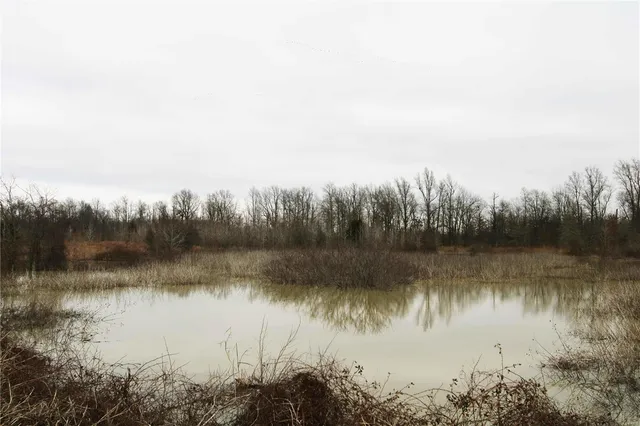 $499,000 | 0 County Line Road 832, Sikeston, MO 63801