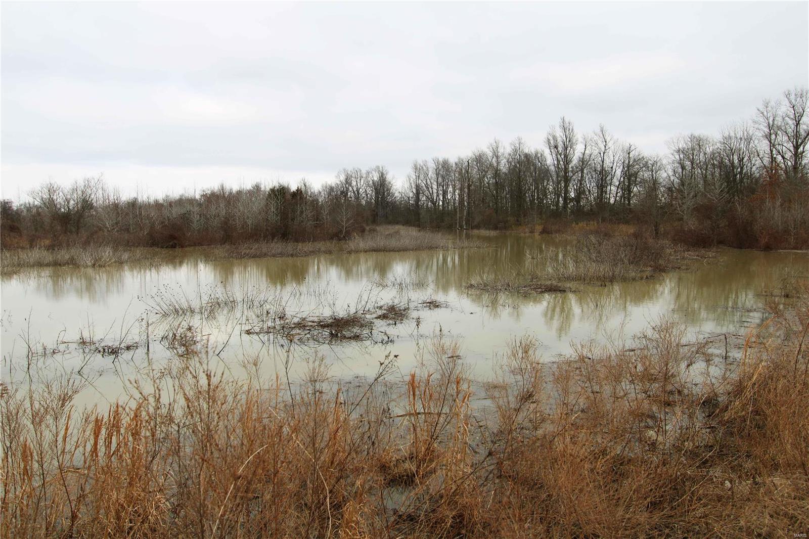 0 County Line Road 832 Sikeston, MO 63801 - Photo 52 of 54