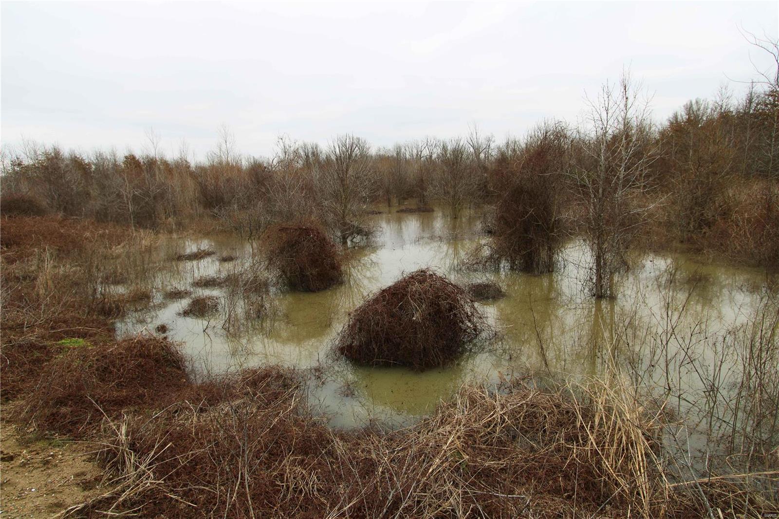 0 County Line Road 832 Sikeston, MO 63801 - Photo 53 of 54