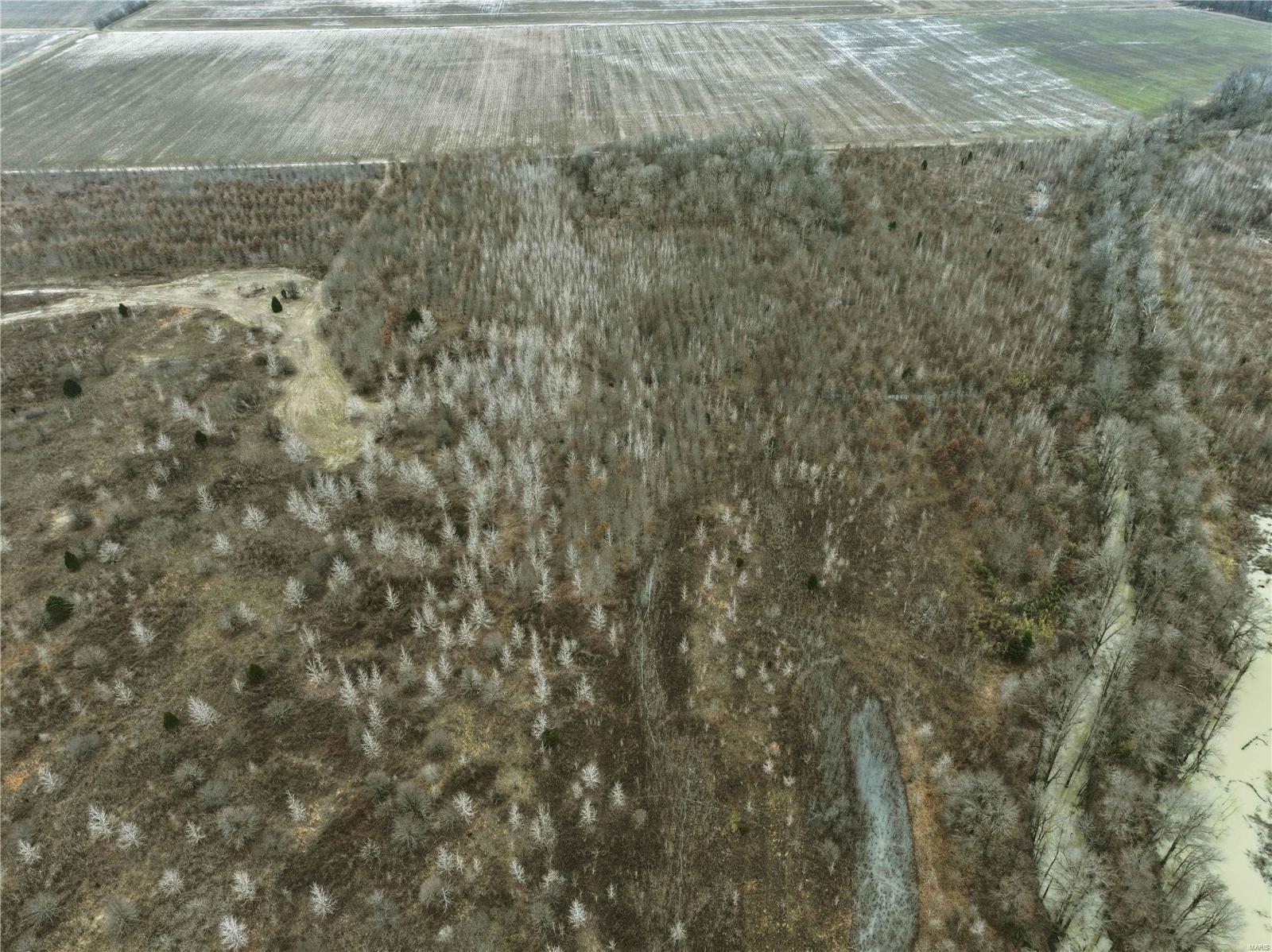 0 County Line Road 832 Sikeston, MO 63801 - Photo 6 of 54