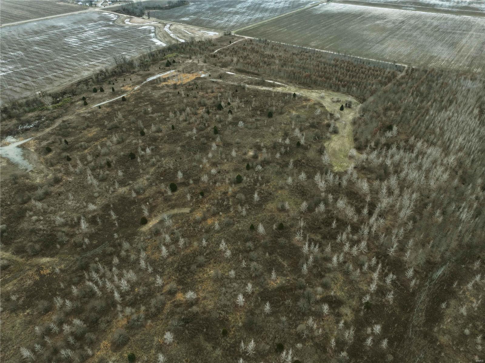 0 County Line Road 832 Sikeston, MO 63801 - Photo 7 of 54