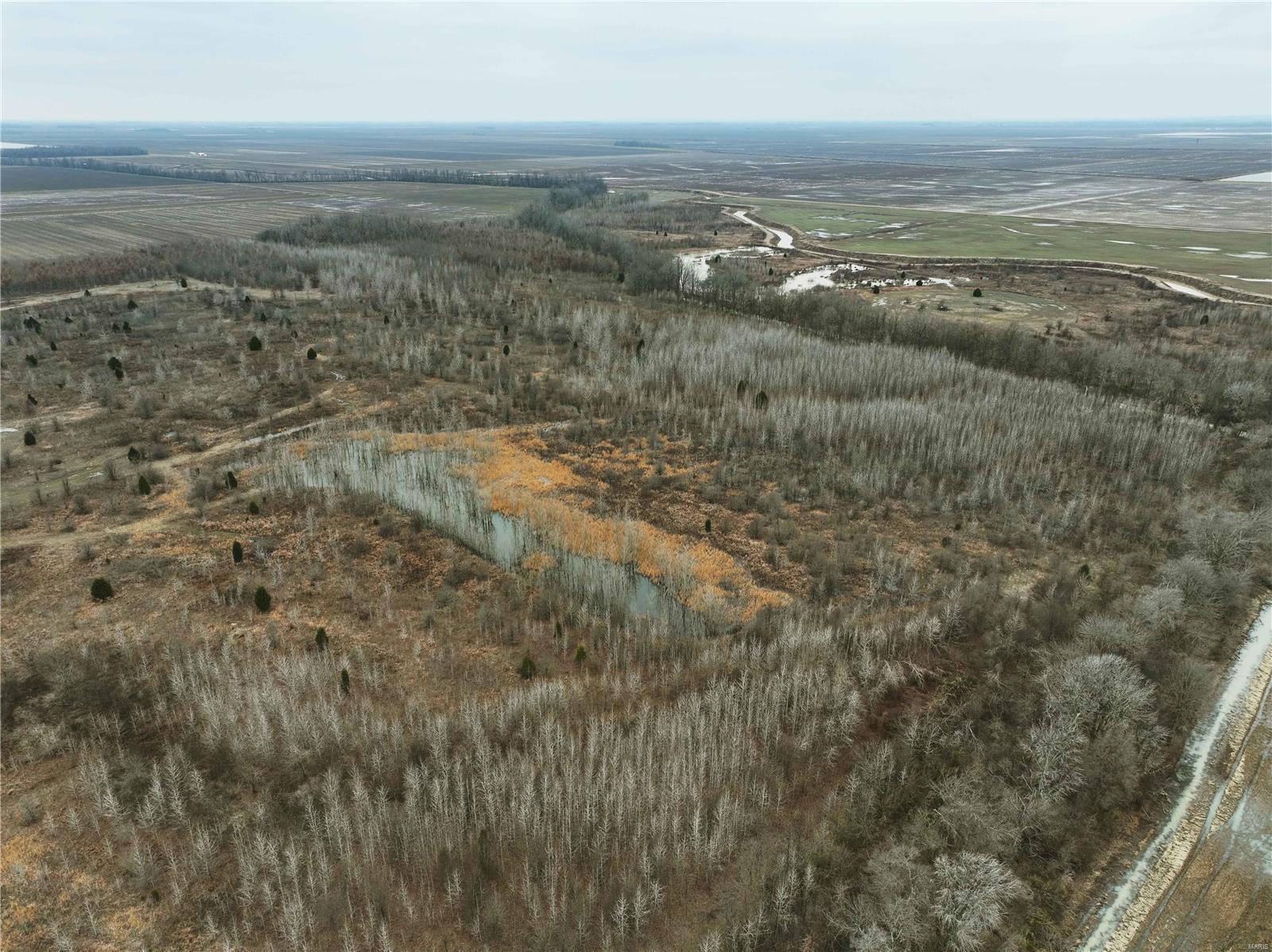 0 County Line Road 832 Sikeston, MO 63801 - Photo 9 of 54