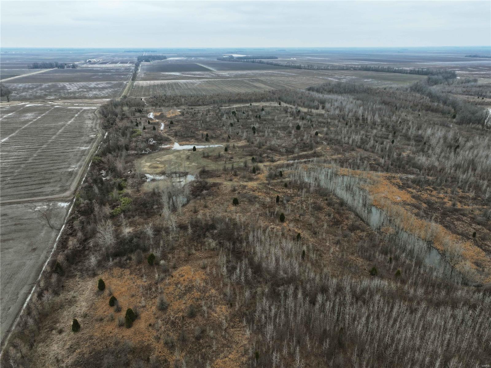 0 County Line Road 832 Sikeston, MO 63801 - Photo 10 of 54
