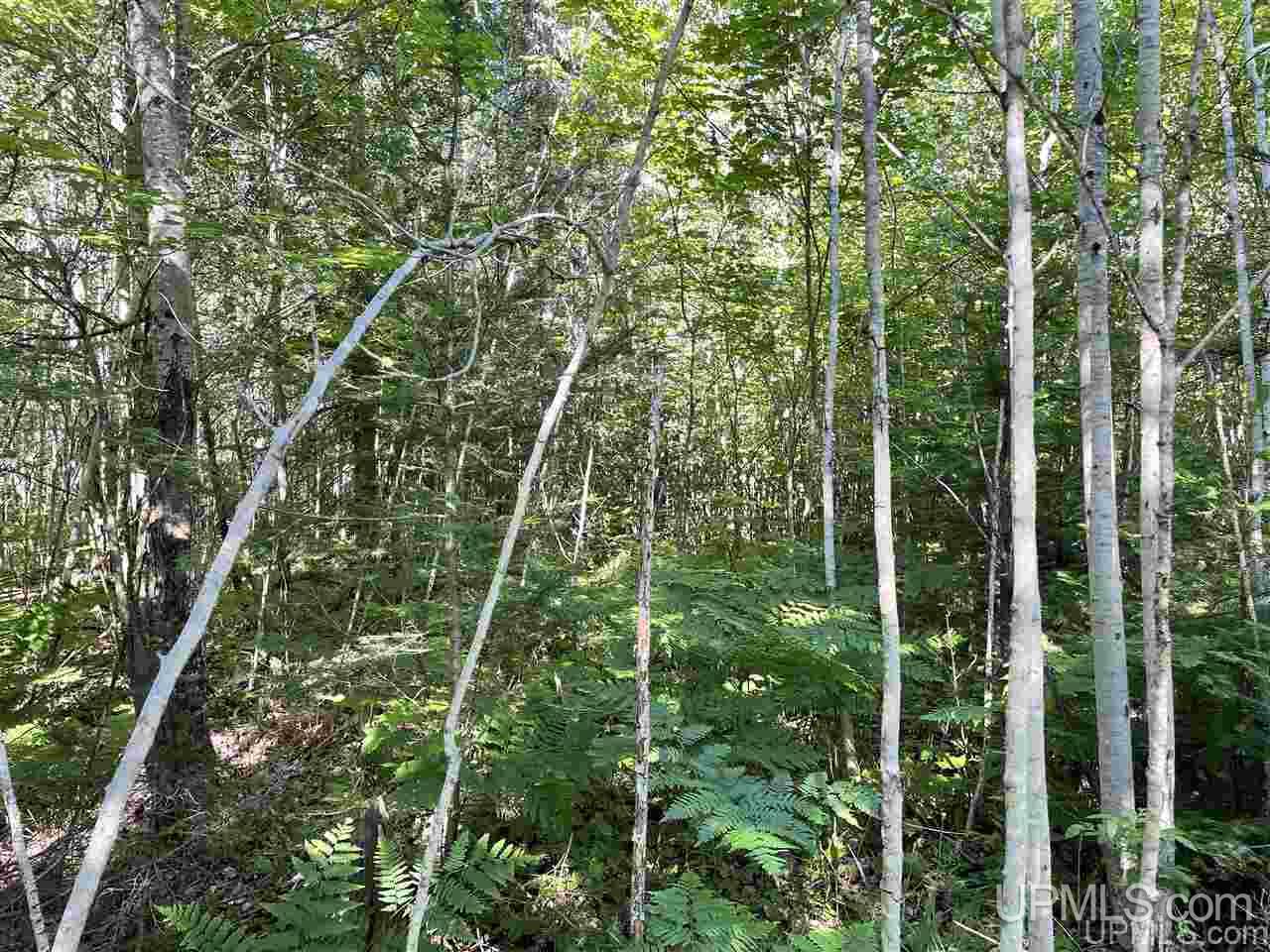 Tbd East 1st Road, Unit 1 Cornell, MI 49818 - Photo 20 of 31