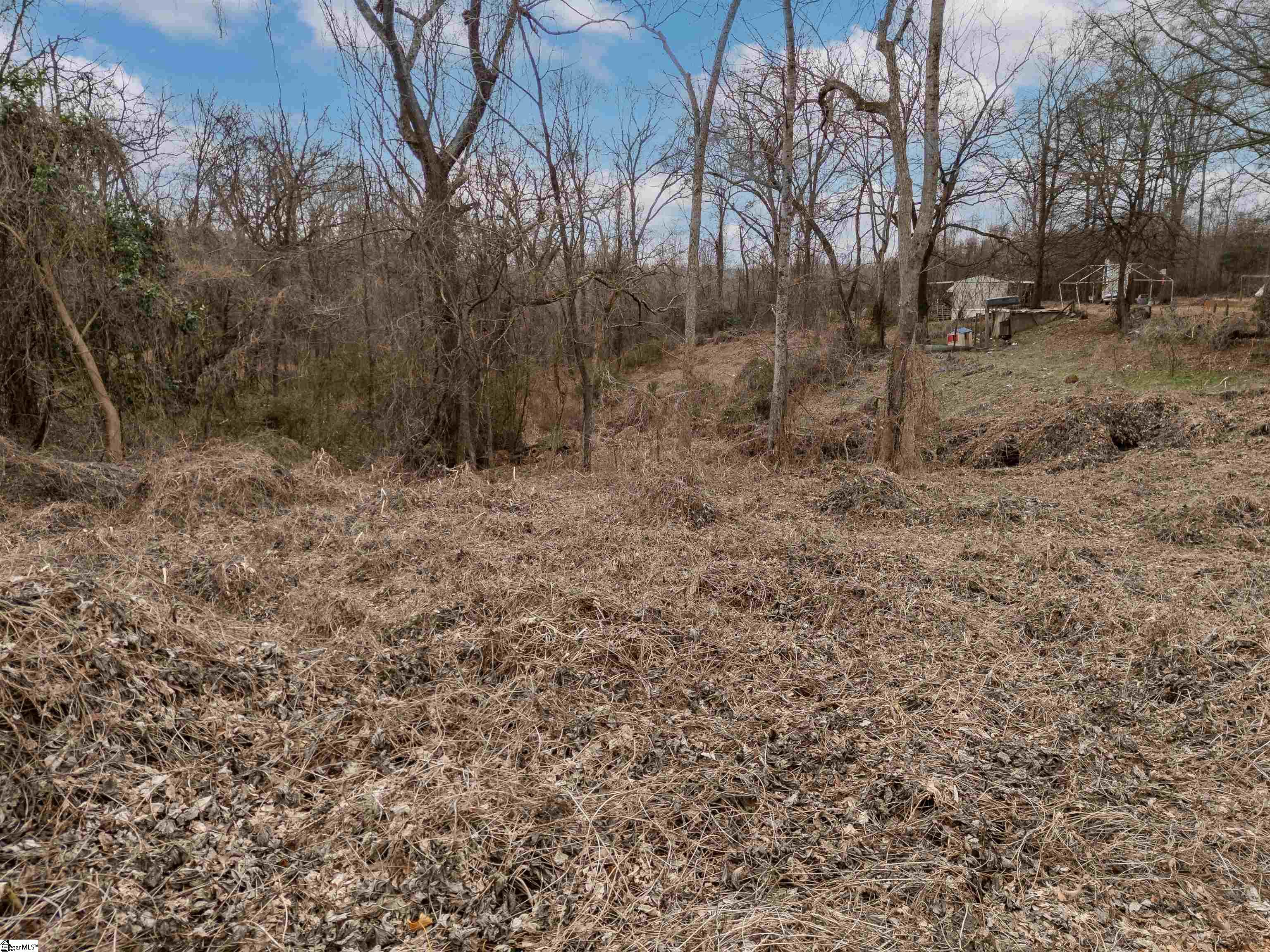 0 Cedar Crest Road Spartanburg, SC 29301 - Photo 7 of 21