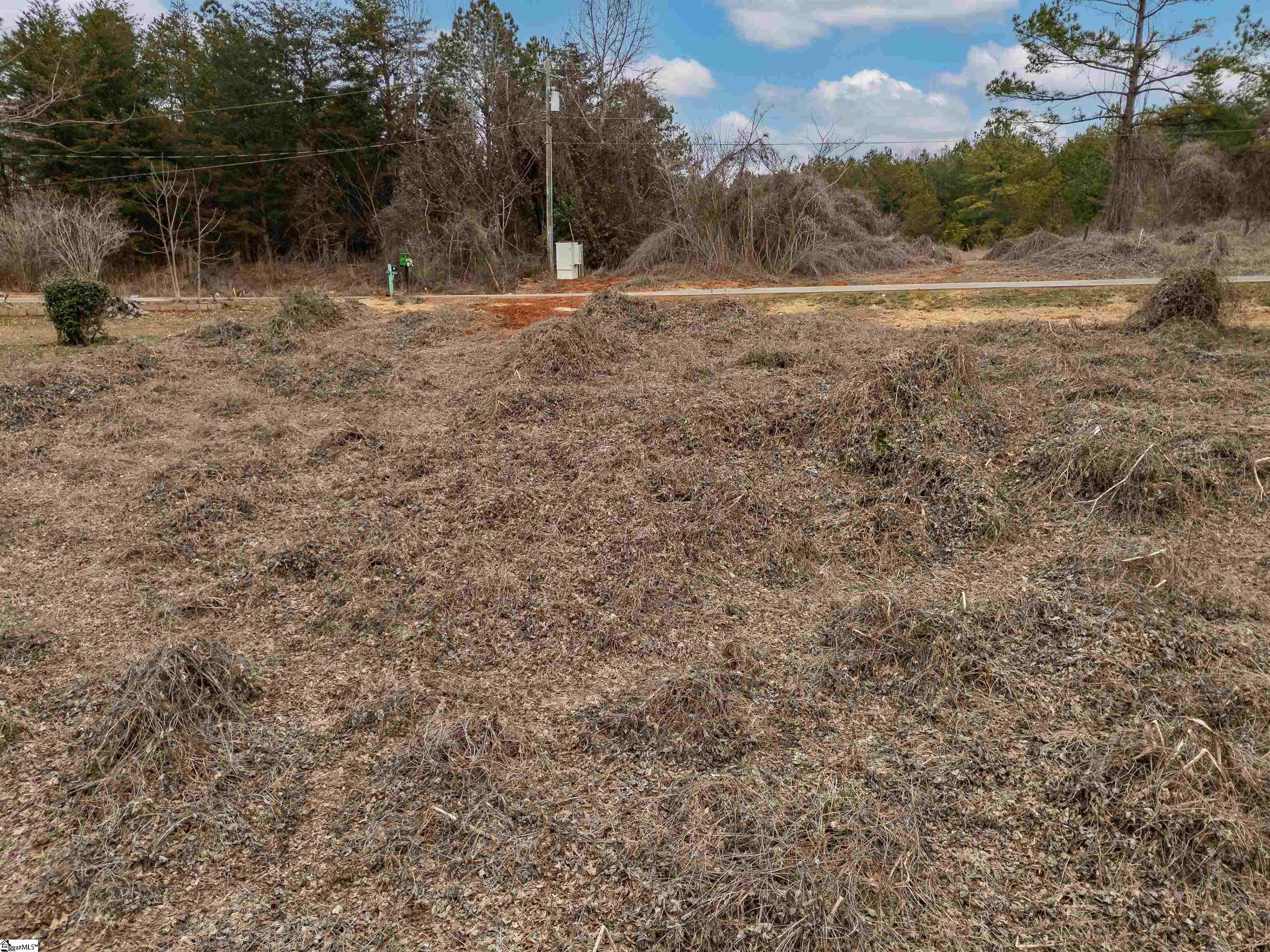 0 Cedar Crest Road Spartanburg, SC 29301 - Photo 8 of 21