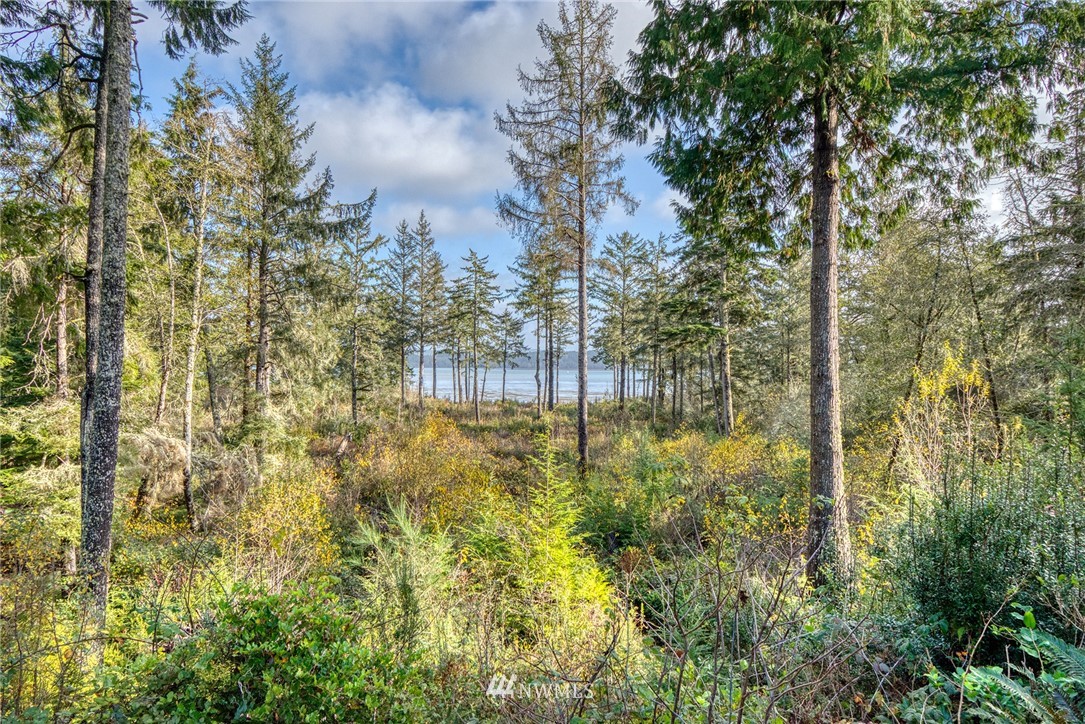 22106 Sandridge Road Ocean Park, WA 98640 - Photo 27 of 40 Gallery Image 27