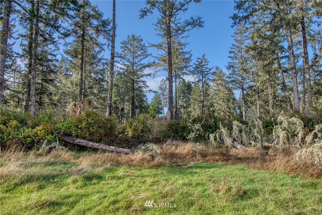 22106 Sandridge Road Ocean Park, WA 98640 - Photo 36 of 40 Gallery Image 36