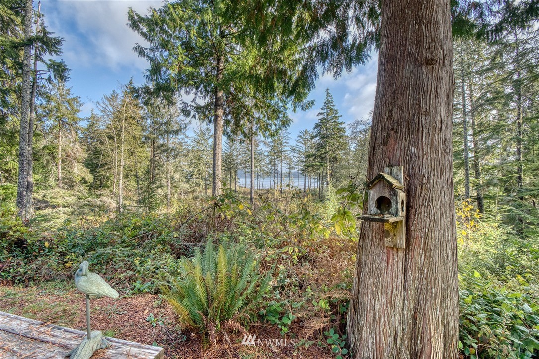 22106 Sandridge Road Ocean Park, WA 98640 - Photo 39 of 40 Gallery Image 39