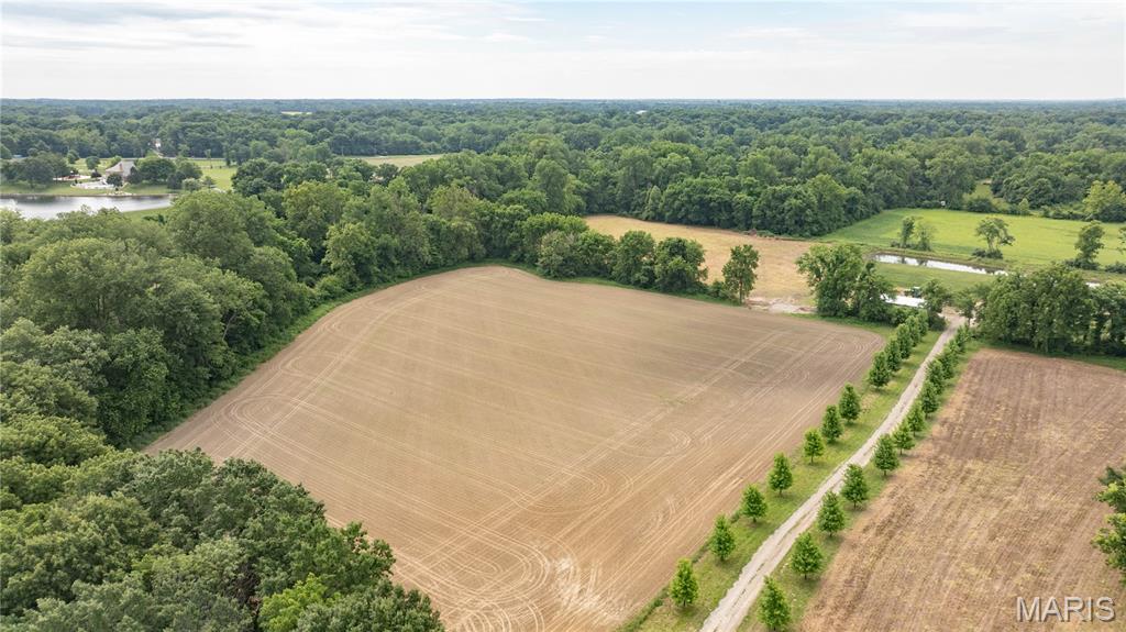 0 Seiler Road Bethalto, IL 62010 - Photo 11 of 25