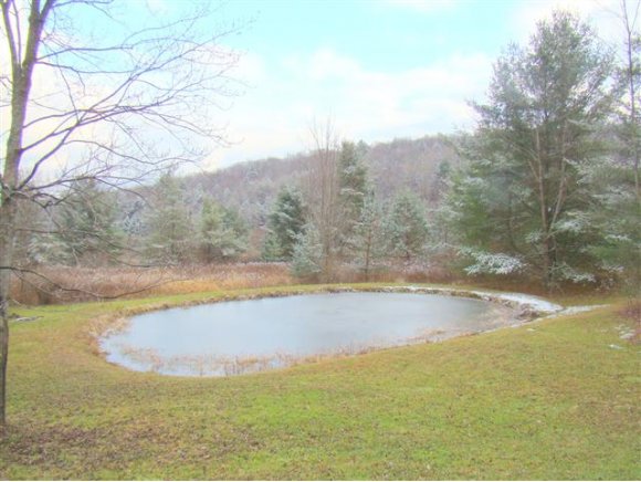 1706 Lawrence Road Newark Valley, NY 13827 - Photo 11 of 13 Gallery Image 11