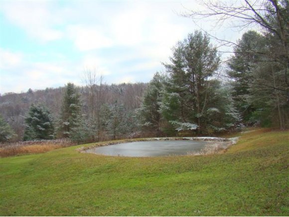 1706 Lawrence Road Newark Valley, NY 13827 - Photo 12 of 13 Gallery Image 12