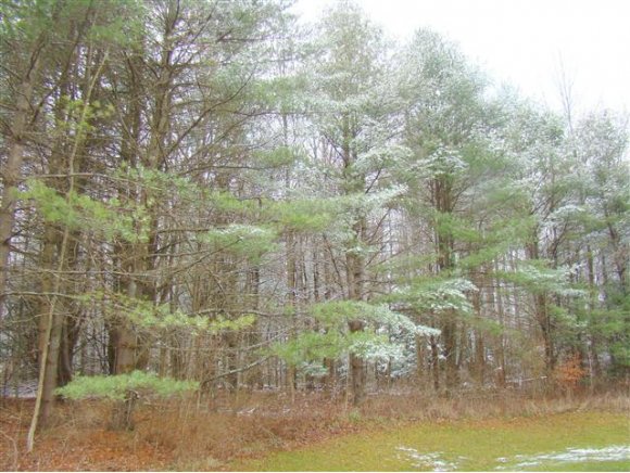 1706 Lawrence Road Newark Valley, NY 13827 - Photo 13 of 13 Gallery Image 13