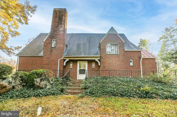 a view of a yard with plants and large trees