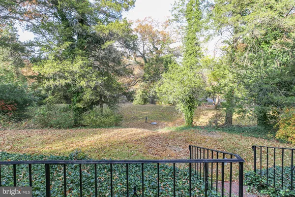 a view of a pathway both side of yard